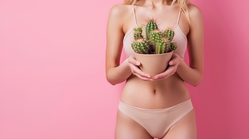 Woman in a bikini holding a cactus, representing a gentle Brazilian wax experience in McKinney